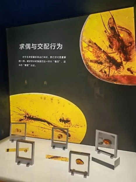 image-20240131224111-3